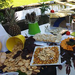 queso con picos 